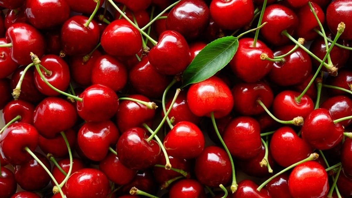 La baja temperatura de almacenamiento induce la síntesis de lignina en cereza.jpg
